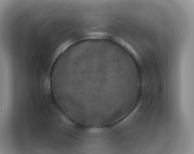 X0000111631362200907241042