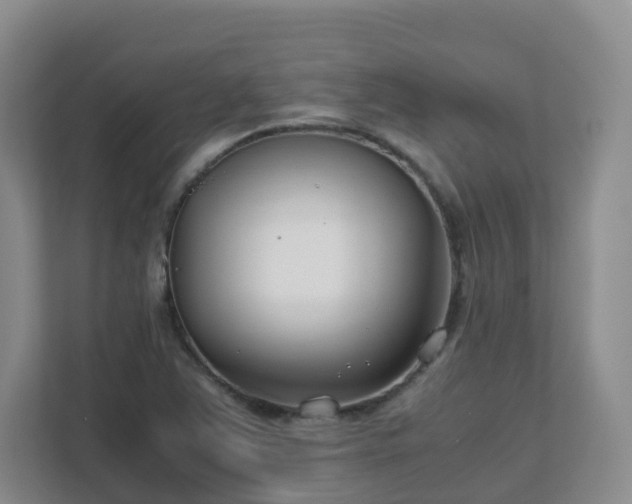 X0000111631363200907241042