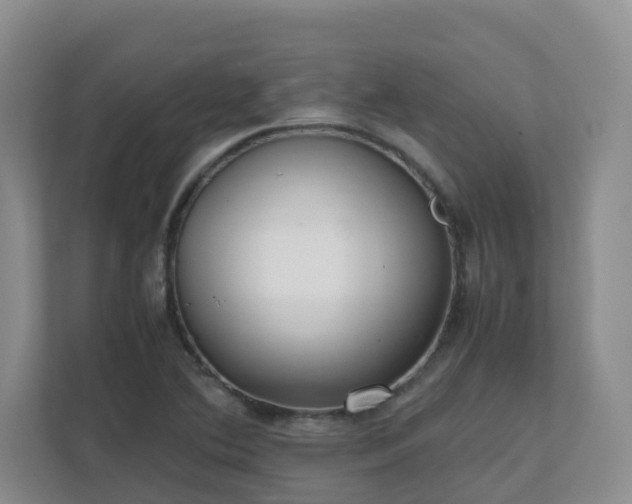 X0000111631364200907241042