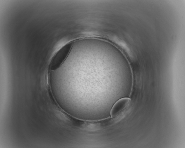 X0000111631365200907241042