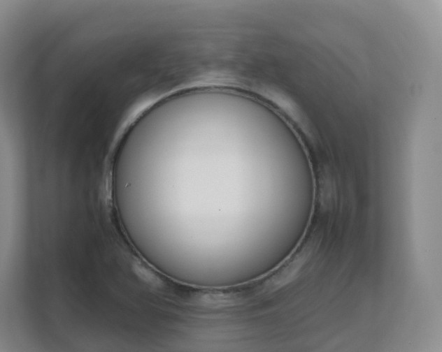 X0000111631366200907241042