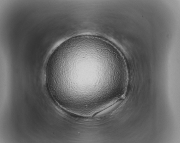 X0000111631367200907241042