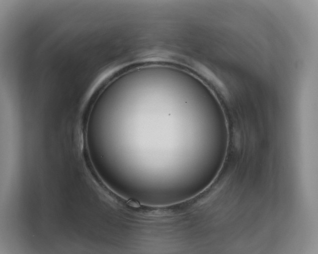 X0000111631368200907241042