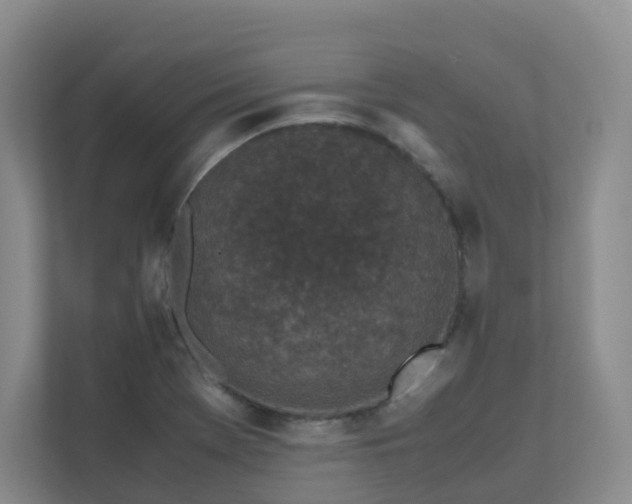 X0000111631369200907241042