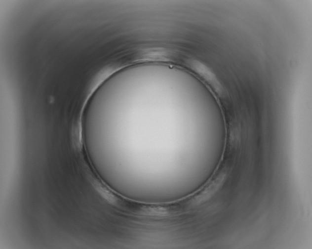 X0000111631370200907241042