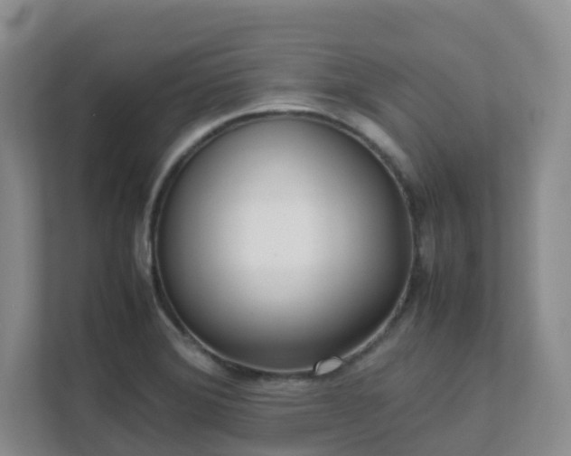 X0000111631372200907241042