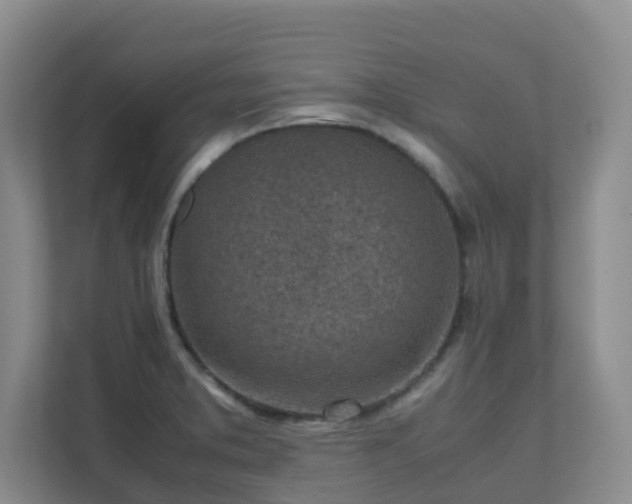 X0000111631373200907241042