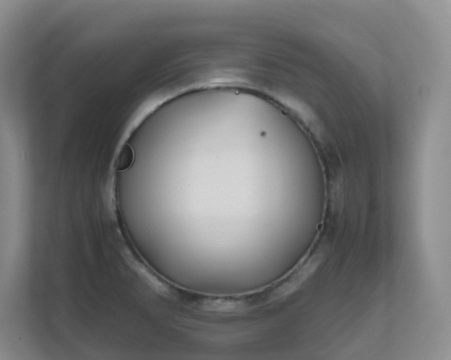 X0000111631374200907241042