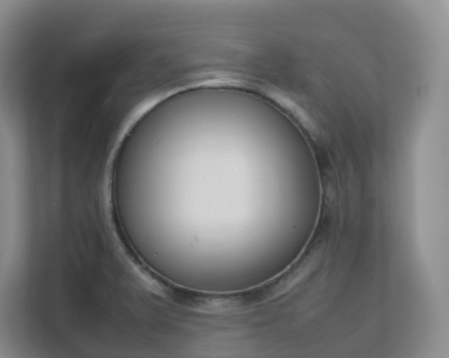 X0000111631375200907241042