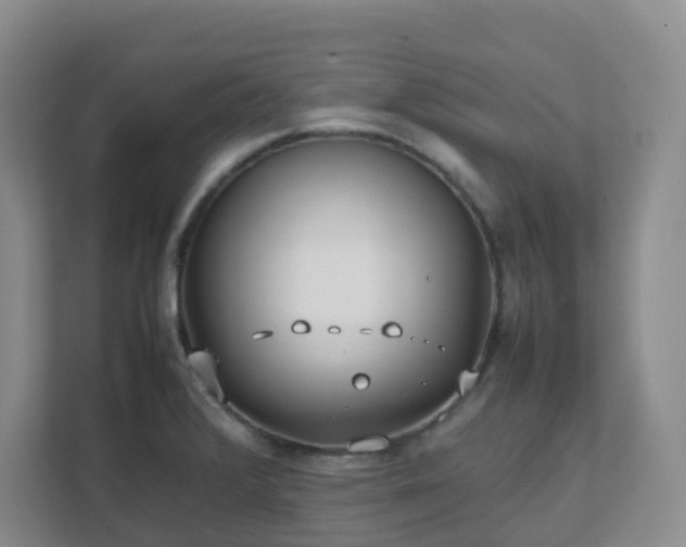 X0000111631376200907241042