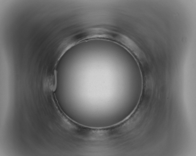 X0000111631377200907241042