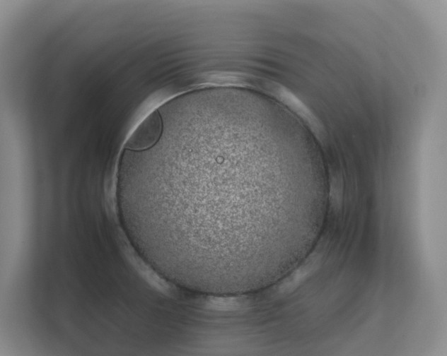 X0000111631378200907241042