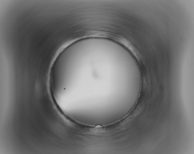 X0000111631379200907241042