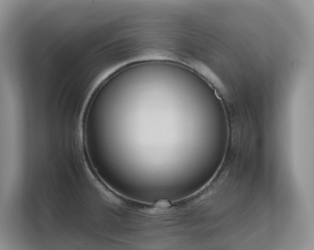 X0000111631380200907241042