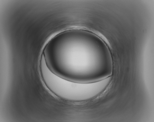 X0000111631381200907241041