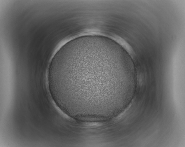 X0000111631382200907241041