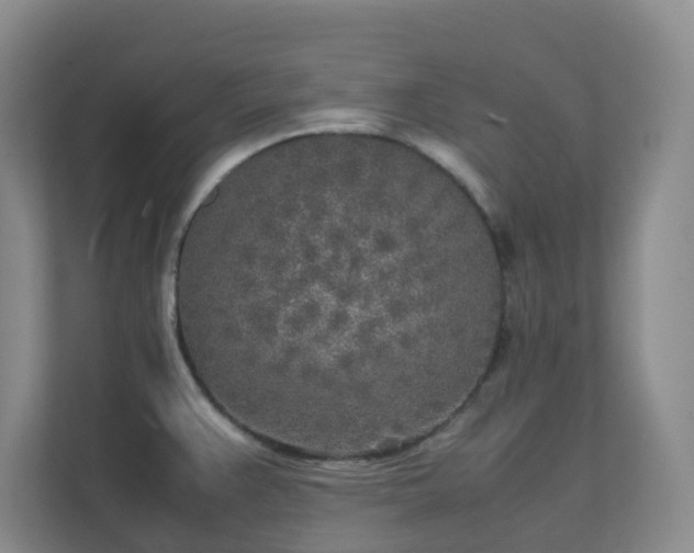 X0000111631383200907241041