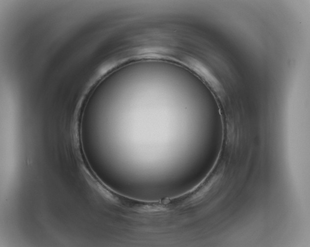 X0000111631384200907241041