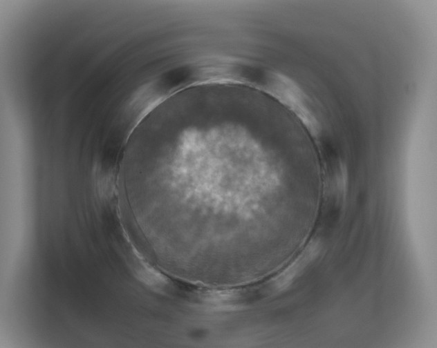 X0000111631385200907241041