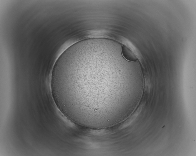 X0000111631386200907241041