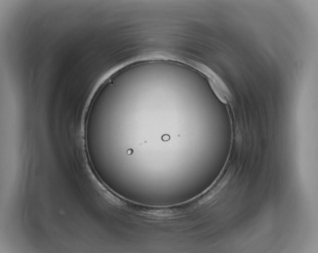 X0000111631388200907241041