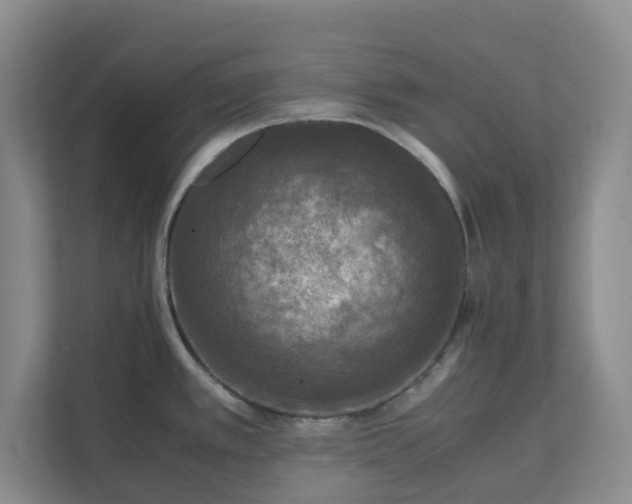 X0000111631389200907241041