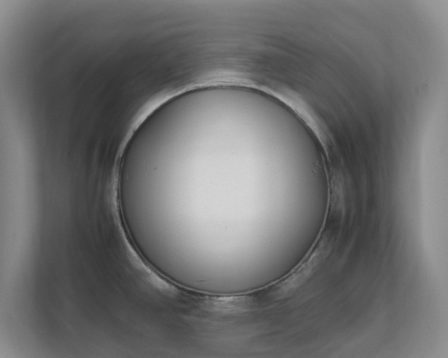 X0000111631390200907241041