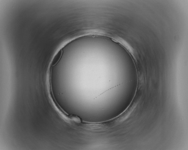 X0000111631391200907241041