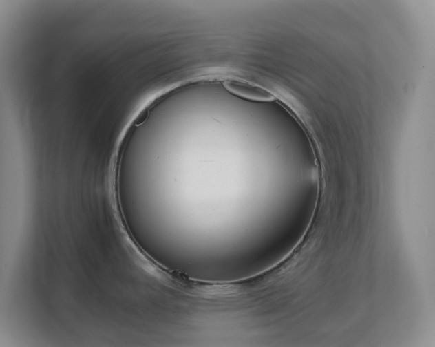 X0000111631392200907241041