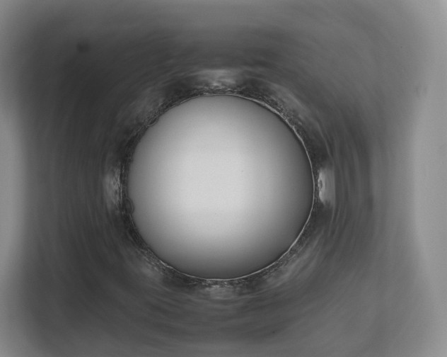 X0000111631395200907241041