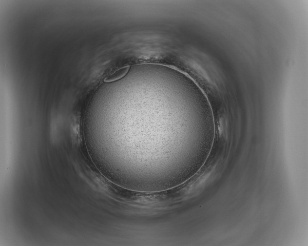 X0000111631396200907241041