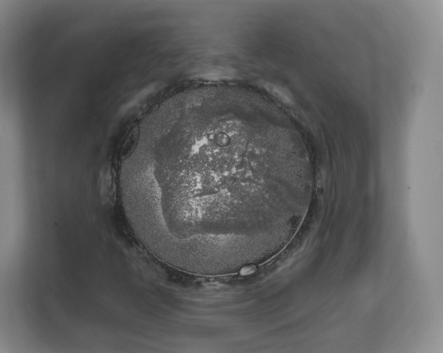 X0000111631398200907241041