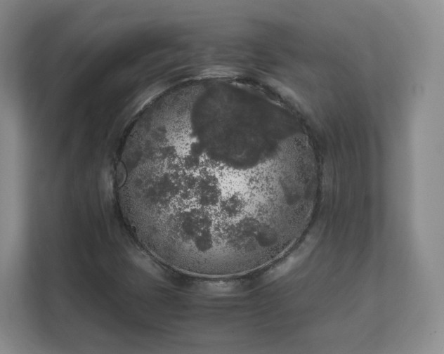 X0000111631401200907241041