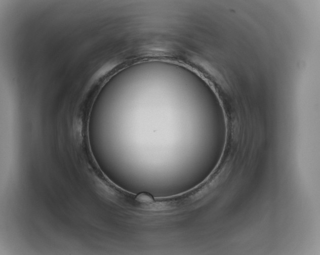 X0000111631402200907241041