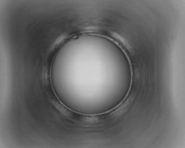 X0000111631403200907241041