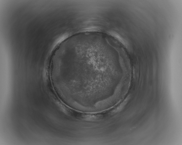 X0000111631405200907241041