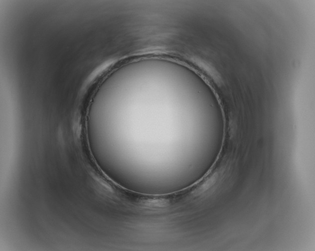 X0000111631406200907241041