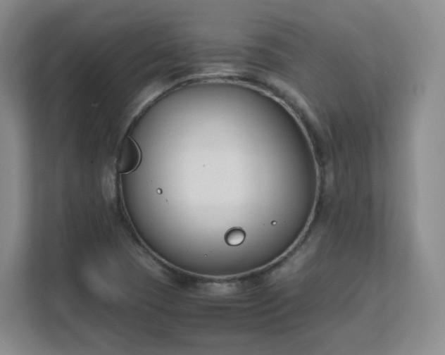 X0000111631409200907241041