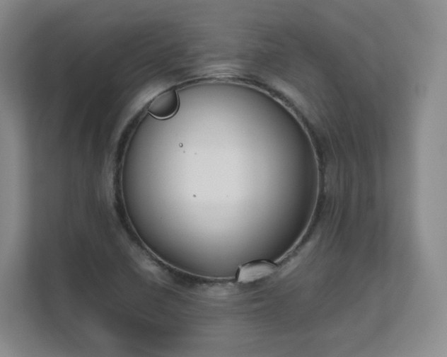 X0000111631410200907241041