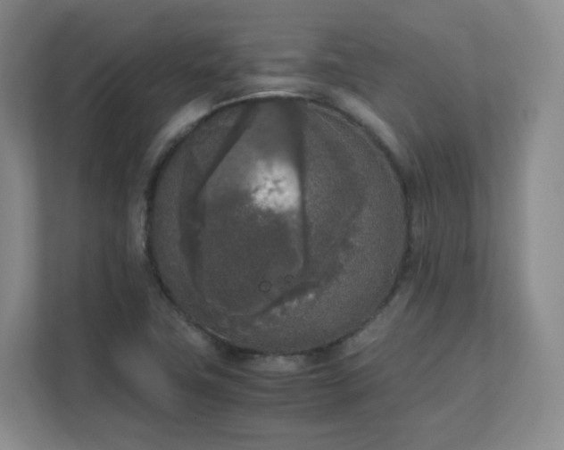 X0000111631411200907241041