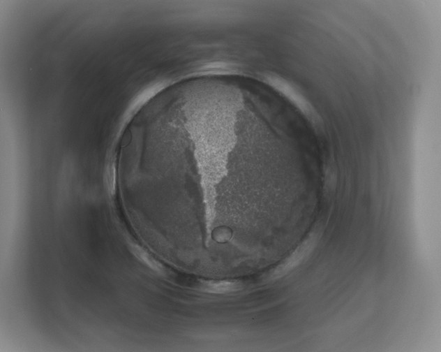 X0000111631413200907241041