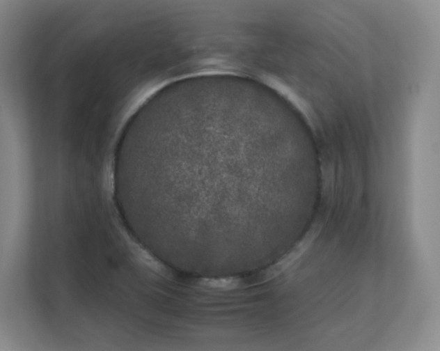 X0000111631415200907241041