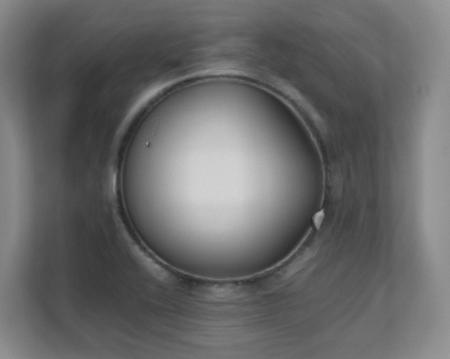 X0000111631416200907241041