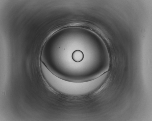 X0000111631417200907241041