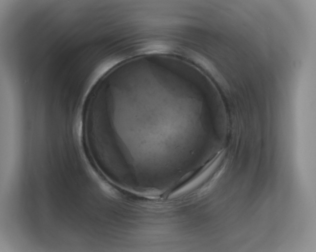 X0000111631418200907241041