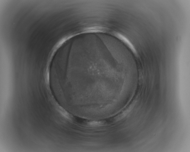 X0000111631419200907241041