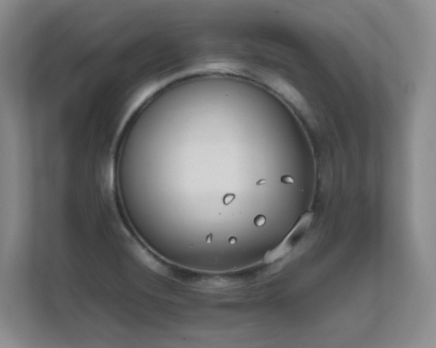 X0000111631420200907241041