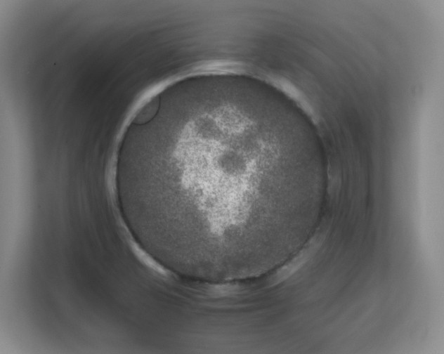 X0000111631421200907241041