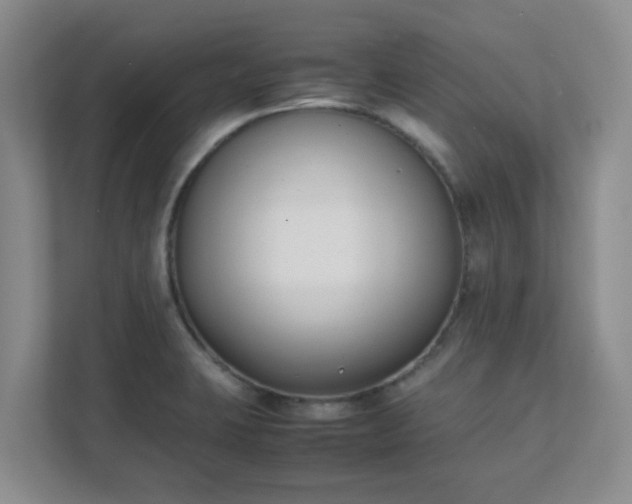 X0000111631423200907241041