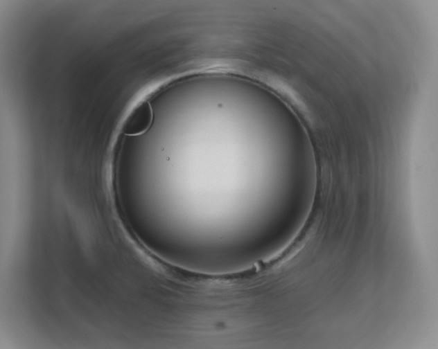 X0000111631424200907241041